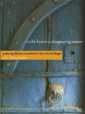 cover image of Visible Histories, Disappearing Women